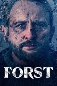 Detective Forst Saison 1 en streaming